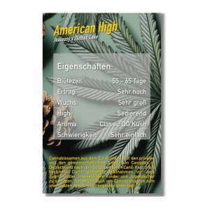 Dope Seeds | American High