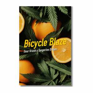 Dope Seeds | Bicycle Blaze