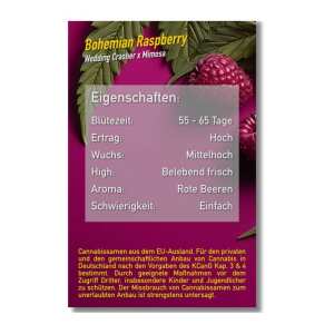 Dope Seeds | Bohemian Raspberry