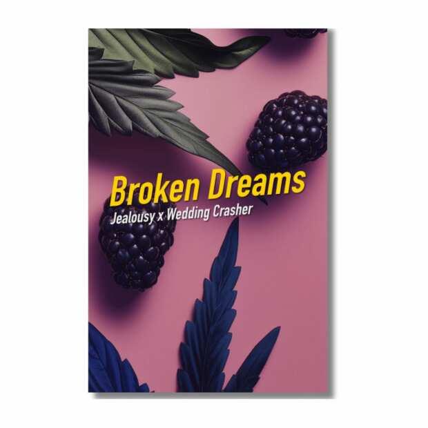 Broken Dreams | Feminisierte Cannabissamen von Dope Seeds