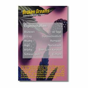 Dope Seeds | Broken Dreams