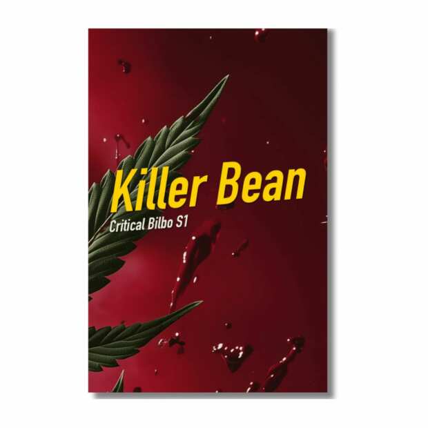 Killer Bean | Feminisierte Cannabissamen von Dope Seeds