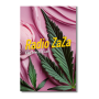 Radio Zaza | Feminisierte Cannabissamen von Dope Seeds