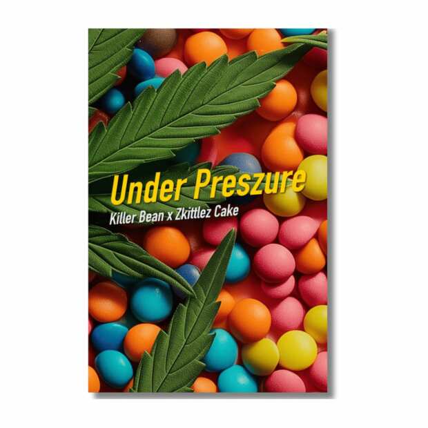 Under Preszure | Feminisierte Cannabissamen von Dope Seeds