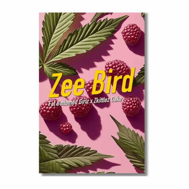 Zee Bird | Feminisierte Cannabissamen von Dope Seeds