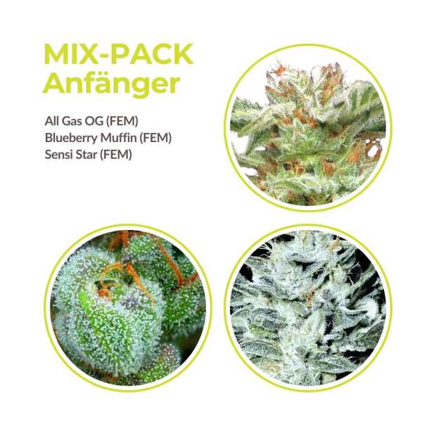 MIX PACK ANFÄNGER | GrowSelect & Humbold Seeds