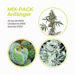 Mix Pack Anf&auml;nger | Feminisiert | 9 Samen