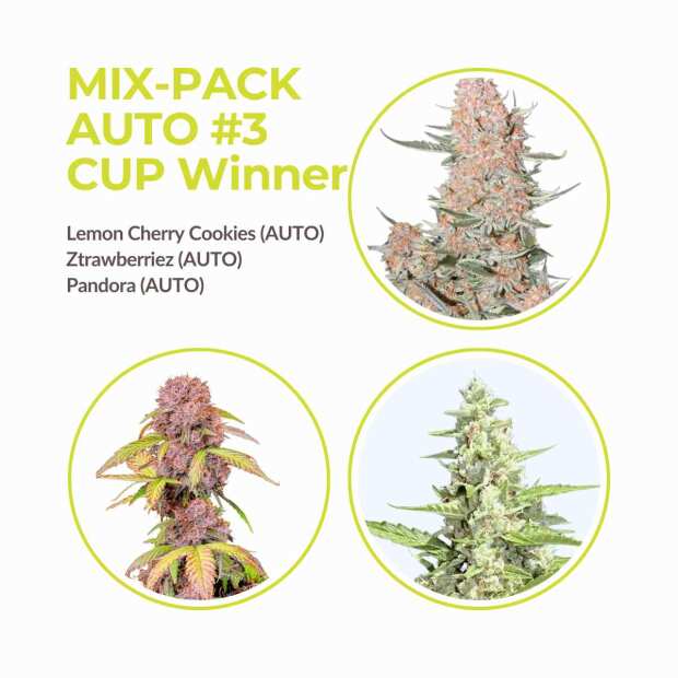 Mix Pack Automatik #3 | Cup Winners Collection | 9 Samen