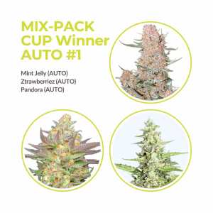 Mix Pack Automatik #3 | Cup Winners Collection | 9 Samen