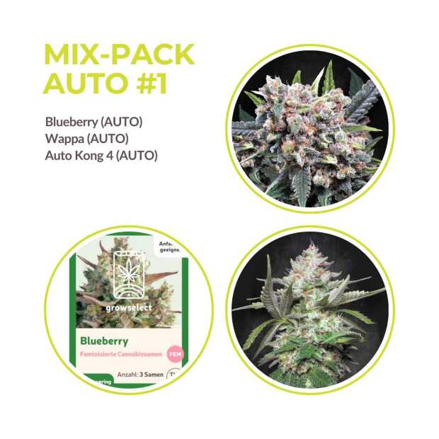 MIX PACK AUTOMATIK #1 | GrowSelect & Paradise Seeds