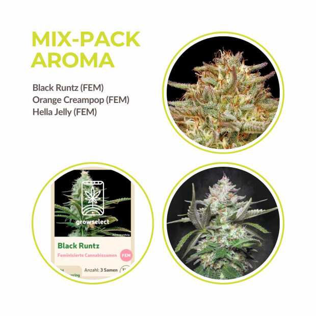 MIX PACK AROMA | GrowSelect, Humbold Seeds & Paradise Seeds