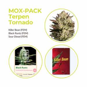 Mix Pack Terpen-Tornado Collection |  Feminisiert  | 9 Samen