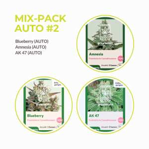 Mix Pack Auto #2 | 3x3 Samen