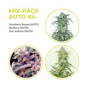 Mix Pack Automatik #4 | 9 Samen