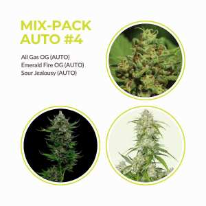 Mix Pack Automatik #4 | 9 Samen