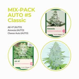 Mix Pack Automatik #5 | Classic Collection | 9 Samen