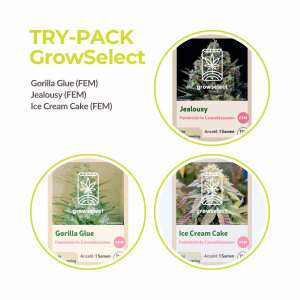 GrowSelect Try Pack Feminisiert | 3x1 Samen