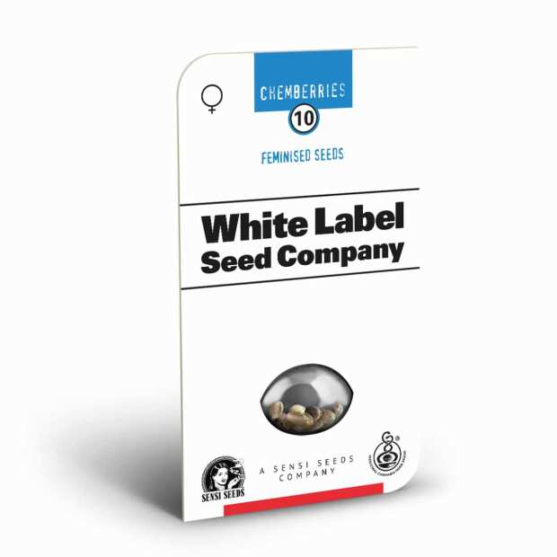 Chemberries | Feminisierte Cannabissamen von Sensi Seeds | 3 Hanfsamen