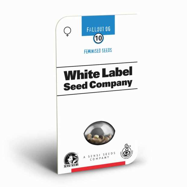 Fall Out OG | Feminisierte Cannabissamen von Sensi Seeds | 3 Hanfsamen