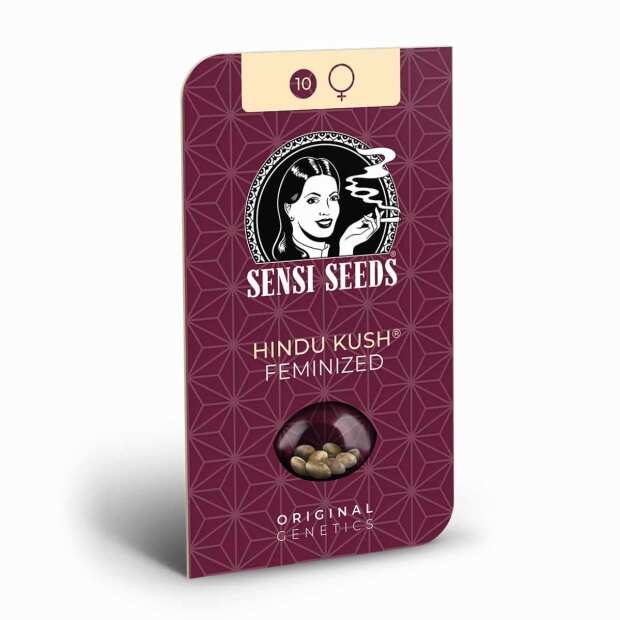 Hindu Kush | Feminisierte Cannabissamen von Sensi Seeds | 3 Hanfsamen