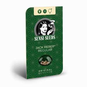 Jack Herer Regular | Reguläre Cannabissamen von...
