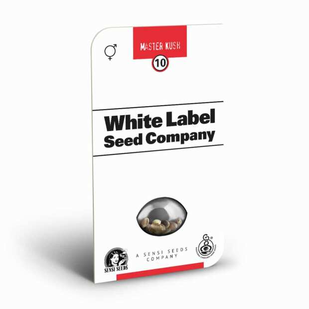 Master Kush Regular | Reguläre Cannabissamen von Sensi Seeds | 10 Hanfsamen