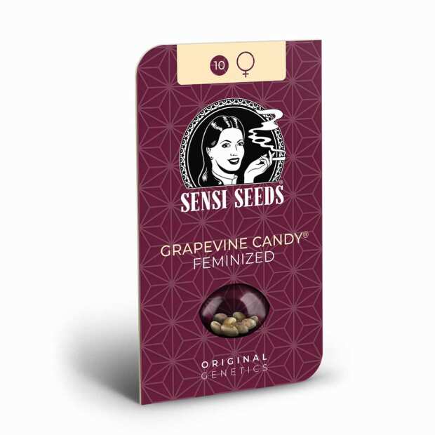 Grapevine Candy | Feminisierte Cannabissamen von Sensi Seeds | 5 Hanfsamen