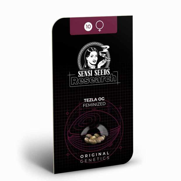 Tezla OG | Feminisierte Cannabissamen von Sensi Seeds | 5 Hanfsamen