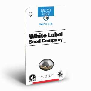 Sensi Seeds | Girl Scout Cookies