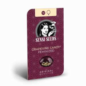 Sensi Seeds | Grapevine Candy