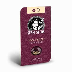 Sensi Seeds | Jack Herer