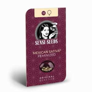 Sensi Seeds | Mexican Sativa