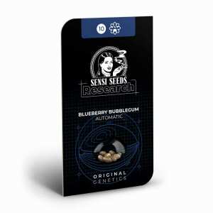 Sensi Seeds | Blueberry Bubblegum Auto