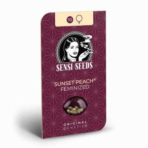 Sensi Seeds | Sunset Peach
