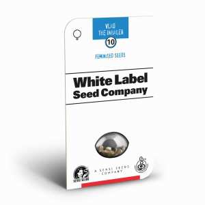 Sensi Seeds | Vlad the Inhaler