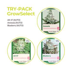 GrowSelect Try Pack Auto | 3x1 Samen
