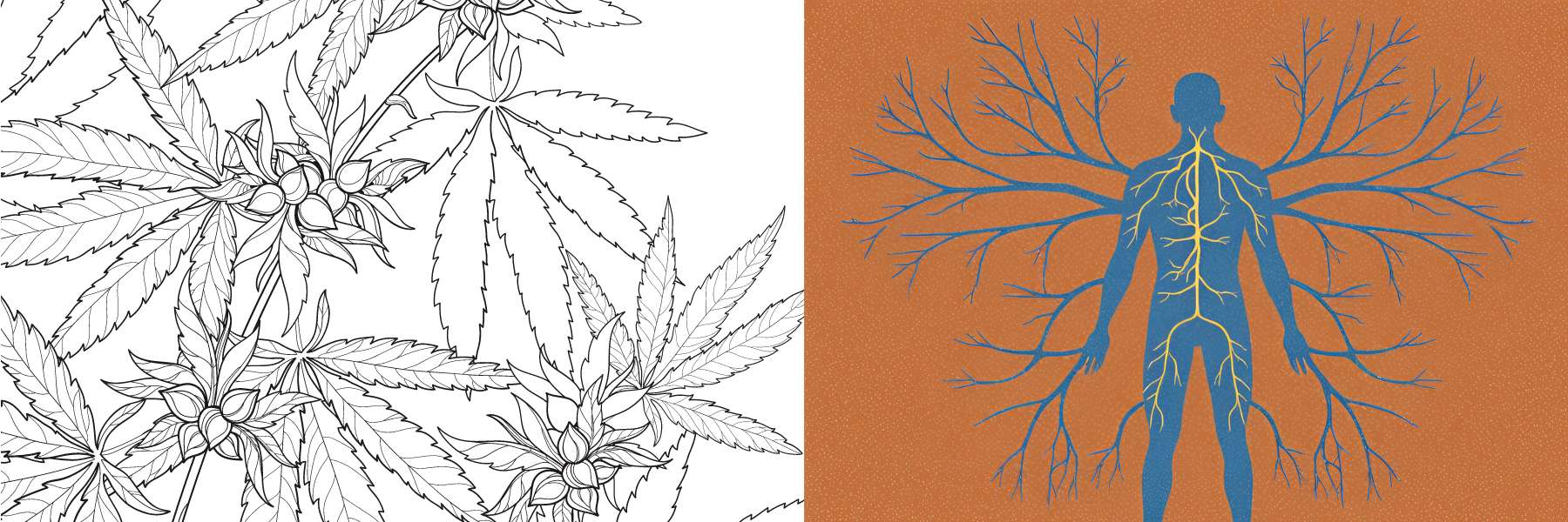 cannabispflanze und nervenbahnen eines menschen