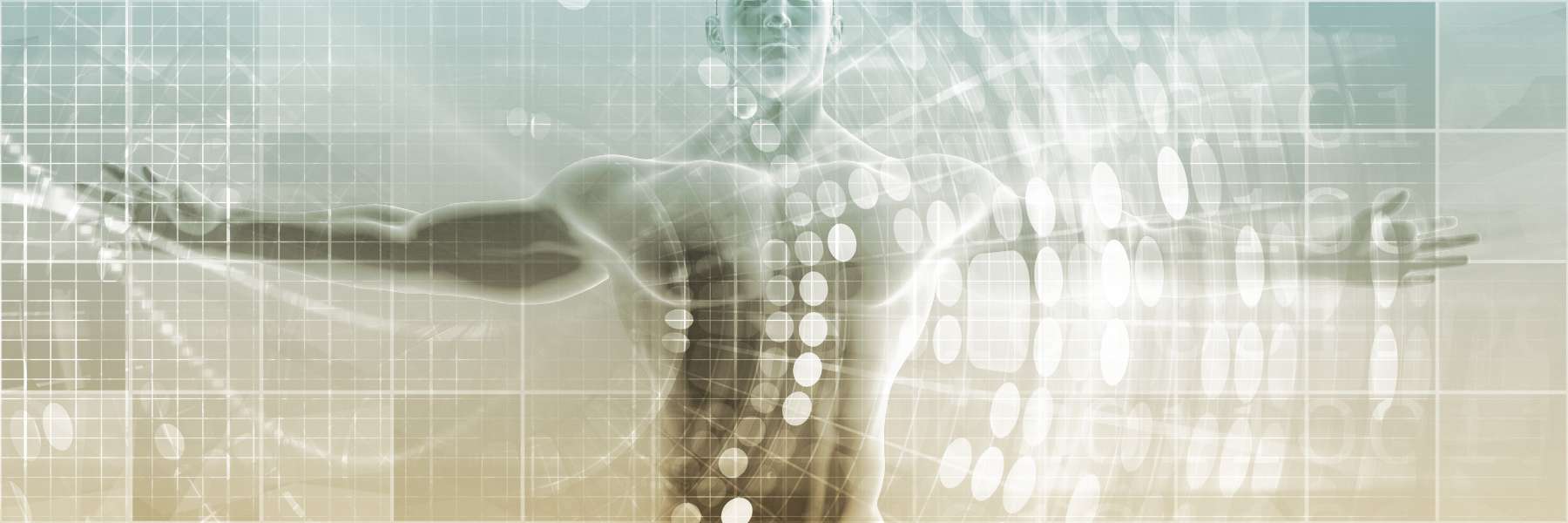 Forschungen über Cannabis und Terpene