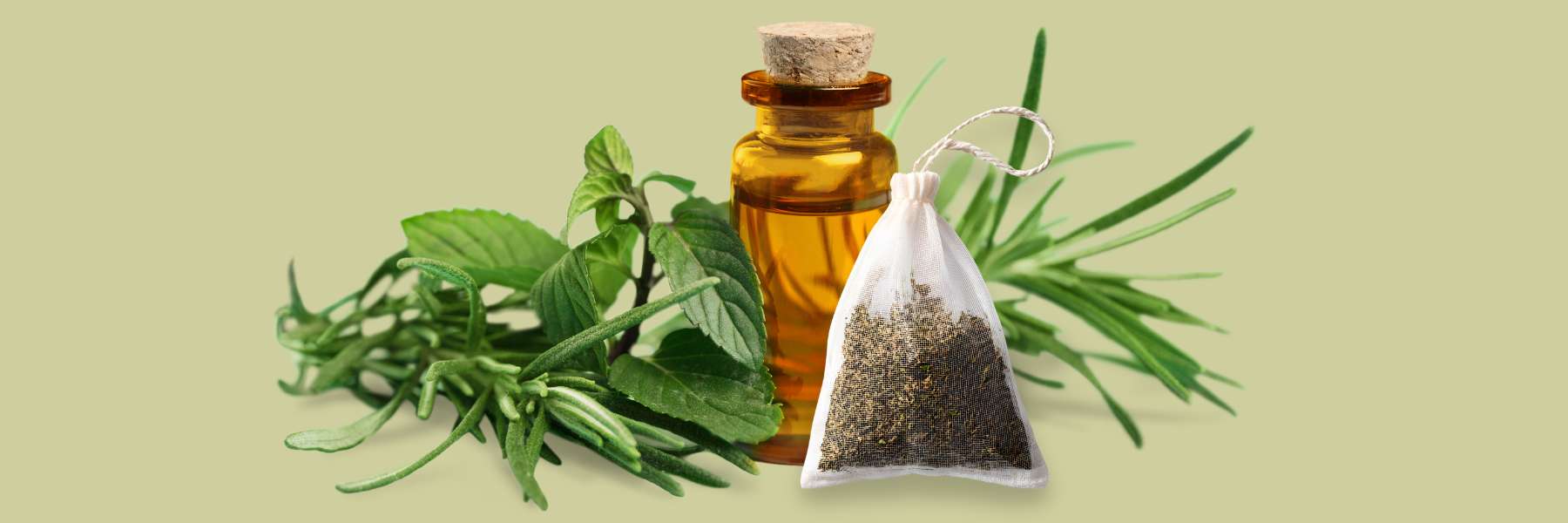 Ätherische Öle in der Aromatherapie mit Terpenen